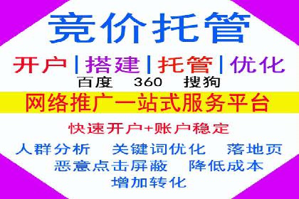 成功SEM托管代运营案例分析